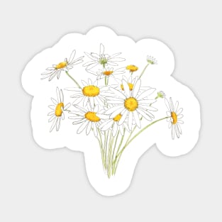 white little daisy bouquet flower watercolor Sticker